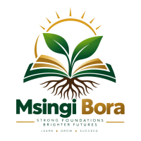Msingi Bora
